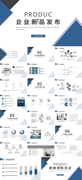 高端企业新品发布项目推介策划案