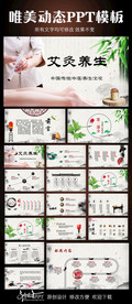 艾灸文化动态PPT模板