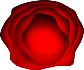 玫瑰形状