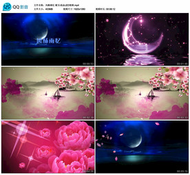 风酥雨忆 舞蹈舞台背景视频成品