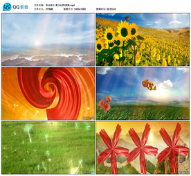 阳光路上 舞台大屏背景视频成品