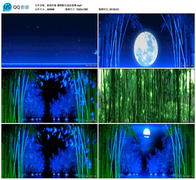 版纳印象 舞蹈舞台背景视频成品