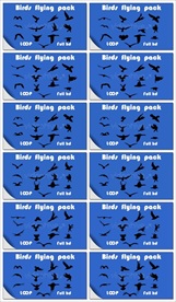 快乐自由飞翔鸟儿剪影视频