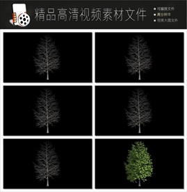 地产交易视频建筑视频房子视频