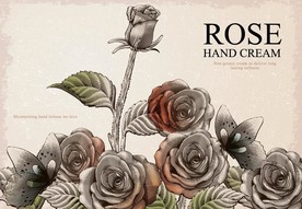 欧式古典版画风格玫瑰