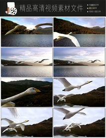 4K美丽风景云海风暴延时视频