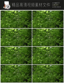 4K美丽风景云海风暴延时视频