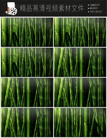 唯美跑道绿色森林实拍超清视频