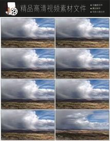 带通道的粒子花海视频素材