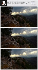 带通道的粒子花海视频素材