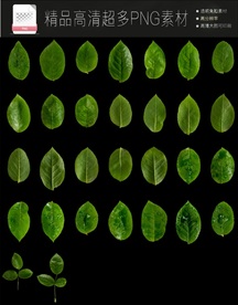 超多PNG免扣素材合集透明高清