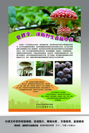 谨防野生毒菌中毒海报