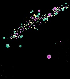 花朵飘舞散落遮罩特效转场视频