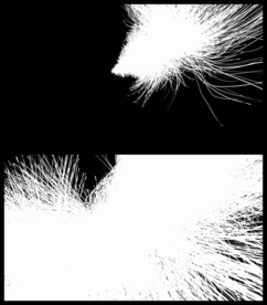 快闪数字媒体视频片头动画