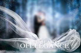 婚纱模板 商用婚纱设计模板