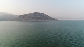 水库飞翔的天鹅