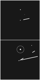 MVO酷炫全息科技元素视频
