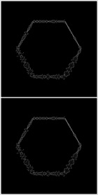 MOV登录浏览动态视频动画
