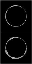 MOV登录浏览动态视频动画
