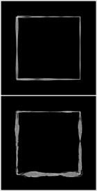MOV登录浏览动态视频动画