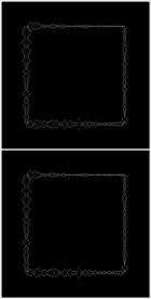 MOV登录浏览动态视频动画