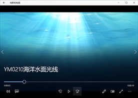 海底世界气泡珊瑚鱼