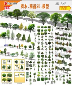风景树SU模型