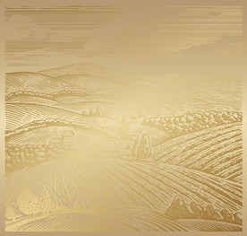 矢量手绘茶山梯田