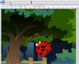 七星瓢虫夜晚飞到一棵树上13秒