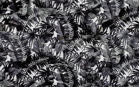 热带植物背景 手绘植物