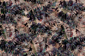 热带植物树叶 田园 雨林