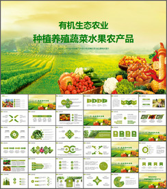 有机生态农业PPT