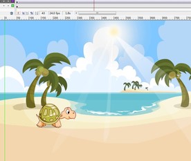 沙滩上阳光下行走的乌龟6秒