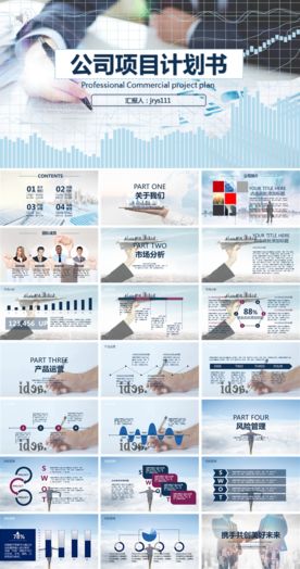 公司项目计划书