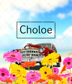 印花图案老爷车