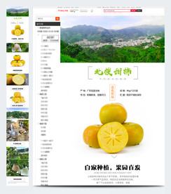 北梭甜柿网店详情图