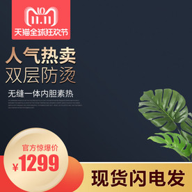 直通车图 主图模板