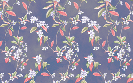 花鸟墙纸 花鸟墙画 墙纸