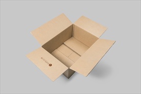 纸箱包装样机