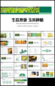 天然农产品有机蔬菜玉米种植PP