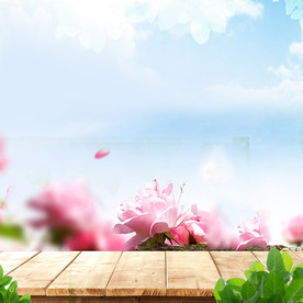 主图设计图片--可商用