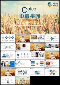 中粮集团年终年中总结汇报通用