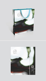 通用最新创意中国风手提袋图片