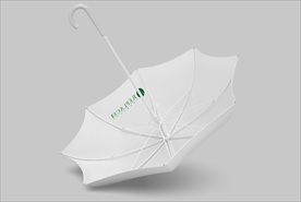 白色伞样机
