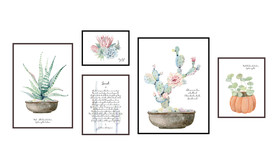 多肉植物 装饰画