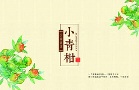 小青柑包装礼盒