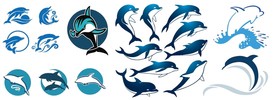 矢量海豚设计