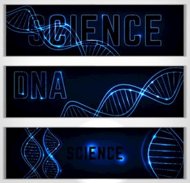 DNA细胞分子结构矢量素材