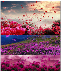 唱只山歌给党听歌舞赞美晚会LE