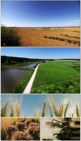 在希望的田野上舞台晚会视频背景